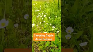 Camping Gajole Arsiè Belluno unoasi di pace [upl. by Publea]