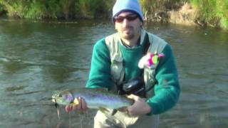 Alagnak River Fishing Part 2 [upl. by Gussi6]