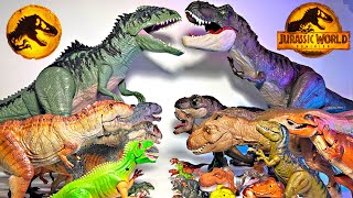 Giganotosaurus vs TRex Jurassic World Dominion Dinosaurs Collection Battle [upl. by Theola]