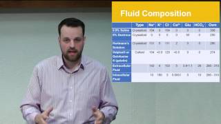 Fluid Balance Approaching the Patient With [upl. by Atinomar]