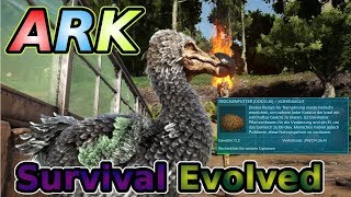 DodoKibbleTrockenfutter herstellen  ARK Survival Evolved Ep26 [upl. by Rayburn]