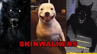 SKINWALKER COMPILATION‼️‼️ [upl. by Yelekreb]