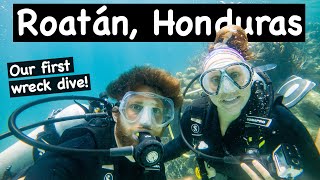 We Spent 1 Week at an UNLIMITED Scuba Diving Resort in Roatan Honduras 1st Wreck Diving [upl. by Crin976]