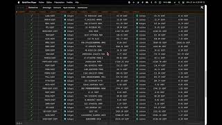 Barbotine Terminal  Arbitrage scanner results preview [upl. by Wallford]