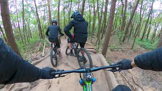 MTB  Trails  Stammenderbos [upl. by Aihsal532]