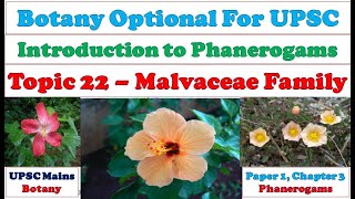 Malvaceae Family – Systematic Position Field Recognition Family Description Economic Importance [upl. by Ilenay]