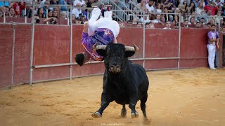 CONCURSO DE RECORTES BOADILLA DEL MONTE III MEMORIAL quotMÍGUELONquot 2024 MADRID [upl. by Nylaroc197]