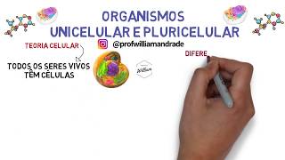 Resumo Organismos Unicelulares e Pluricelulares Multicelulares  Ciências com William [upl. by Lyman273]