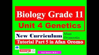 New Curriculum Biology Grade 11 Unit 4 Genetics Tutorial part 5 in Afan Oromo [upl. by Hatti]