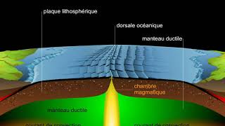 Expansion des fonds océaniques [upl. by Eleonore]