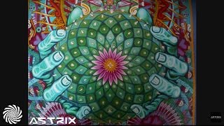 1200 Micrograms  Mescaline Astrix Remix [upl. by Symer599]