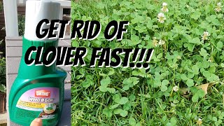 How To Use Ortho® Weed BGON™ Lawn Weed Killer ReadyToUse  Crabgrass Control [upl. by Gaylene]