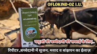 OFLOKINDOZ IU  पशुओ के गर्भाशय की सफाई में उपयोगी  Pyometra Metritis and Endometritis [upl. by Siuol]