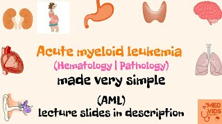 Acute Myeloid Leukemia  AML Pathology  Med Vids made simple [upl. by Nakeber]