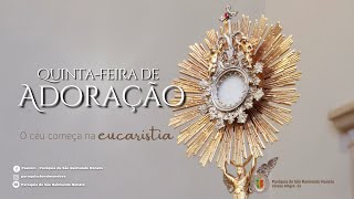 14 de Novembro de 2024 19h Santa Missa  32º Semana do Tempo Comum  Quinta  Feira [upl. by Rehpotsirk219]