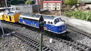 34 Gartenbahntreffen im ElsterNatoureum Maasdorf vom 15092024 Teile 151 [upl. by Tharp]