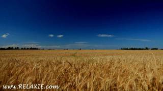 60minutes2relax  Golden Wheat Field [upl. by Ohcirej156]