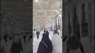 Sai Safa Marwa Alhamdulilah [upl. by Neetsirk]