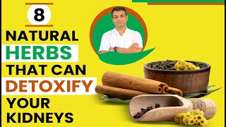 8 Natural Herbs That Can Detoxify Your Kidneys [upl. by Gereld637]