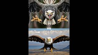 Harpy eagle vs Eagle Bird vs  falcon crow owl seagull Duck toucan bird Macow pigeon [upl. by Ykciv131]