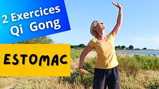 2 EXERCICES POUR LESTOMAC Qi Gong [upl. by Alita]