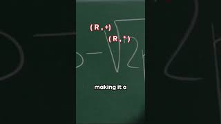 Surprising Facts About Algebraic Rings [upl. by Orfinger607]