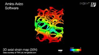 Avizo for DVC  Analysis of 10ppi Aluminium open cell foam under compression [upl. by Lacie]