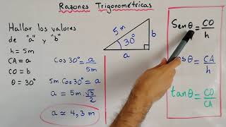 Ejercicio de Razones Trigonométricas  Trigonometría [upl. by Geoff]