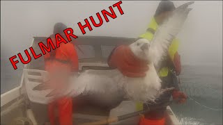 Fulmar hunt  Havhesta túrur 2021 [upl. by Parrnell]