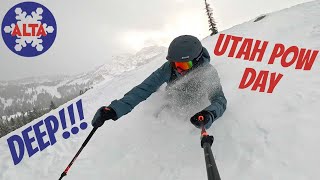 POW DAY of the SEASON at ALTA SKI RESORT [upl. by Adidnere]