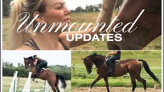 UPDATES  unmounted due to injury Vlog 15 [upl. by Sikorski4]