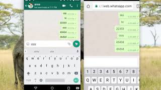 How to know if my WhatsApp account has been hacked [upl. by Enneiluj]