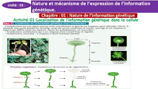 Localisation de linformation génétique dans la cellule 2 bac option francais شرح بالداريجة [upl. by Schwartz169]