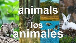 Animals  Los Animales  In English amp Spanish [upl. by Aronaele381]