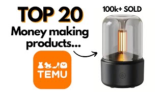 Make Money with VIRAL BestSelling TEMU Products [upl. by Ulrich887]