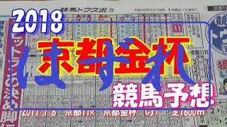 【競馬予想】 2018 京都金杯 「1年の計は、金杯にあり」 [upl. by Manoop]