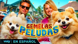 GEMELAS PELUDAS  PELICULA EXCLUSIVA FAMILIA  PELICULA EN ESPANOL LATINO [upl. by Yrakaz507]