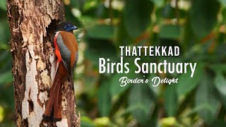 Thattekkad Bird Sanctuary Birders Delight Birdwatching Ernakulam Forest [upl. by Ethelstan]