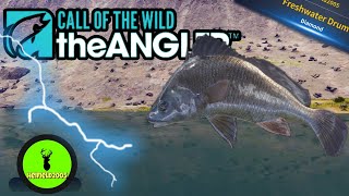 Diamond Freshwater Drum On Stream Cotw The Angler [upl. by Adlanor]