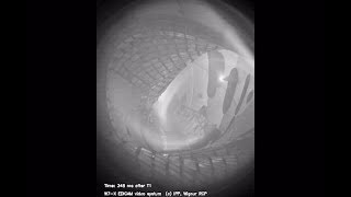 Wendelstein 7X plasma video [upl. by Leirua]