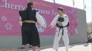 2012 SF Cherry Blossom Festival Shorinji Kempo Demonstration [upl. by Shabbir932]