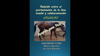 Seminario sobre acortamiento de fase caudal y su relación a la colateromoción [upl. by Lejeune]