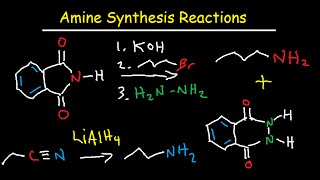 Amine Synthesis Reactions Organic Chemistry  Summary amp Practice Problems [upl. by Klecka]