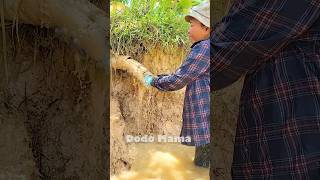 Simple and Safe Ways to Clear Clogged Drain Pipes satisfying unclog farming shorts [upl. by Charmine]