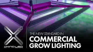 The Kind LED X² Commercial LED Grow Light  Available NOW [upl. by Aizek]