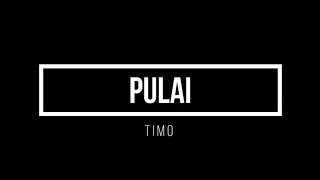 PULAI  TIMO LIRIK [upl. by Dnomsaj]