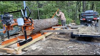 Biggest Log Possible  WoodMizer LX25  26quot White Pine [upl. by Irrek163]