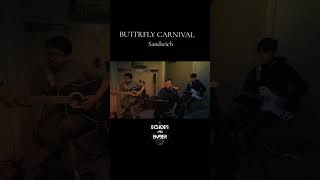 BUTTERFLY CARNIVAL Sandwich AcousticCover EchoesandEmber [upl. by Nasho]