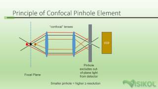 Confocal Microscopy Tutorial [upl. by Einnaffit]