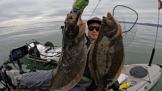 2022 Alameda Rockwall HALIBUT Tournament  HUGE halibut and limit [upl. by Ahselef646]